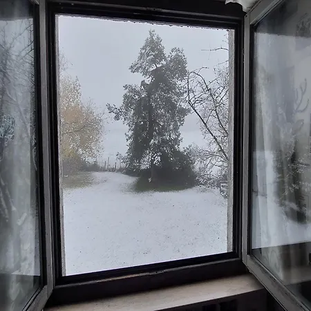 'ardennes Blue' In Theux Near * La Reid