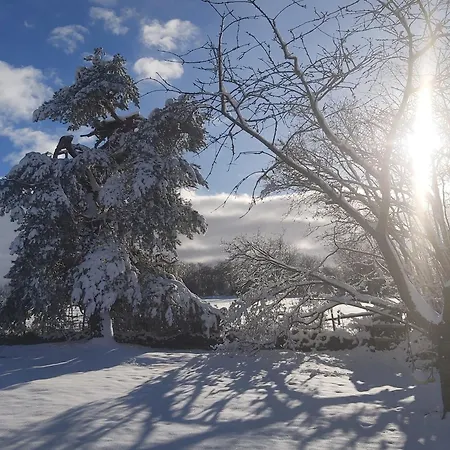 'ardennes Blue' In Theux Near Casa de Férias