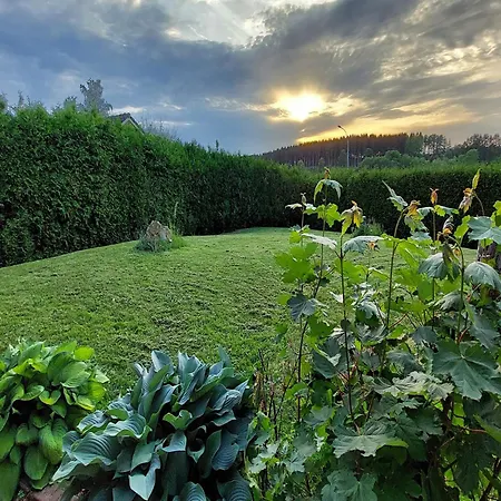 'ardennes Blue' In Theux Near * La Reid