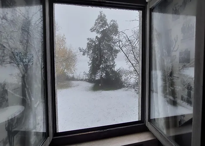 'ardennes Blue' In Theux Near * La Reid