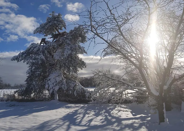 'ardennes Blue' In Theux Near Hébergement de vacances