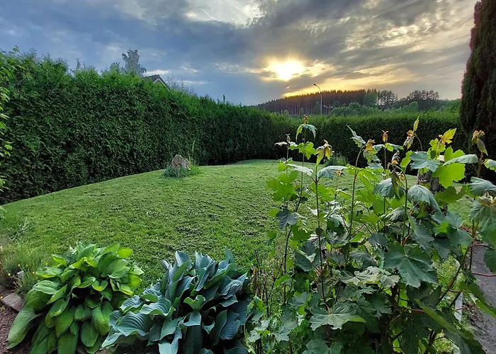 'ardennes Blue' In Theux Near * La Reid